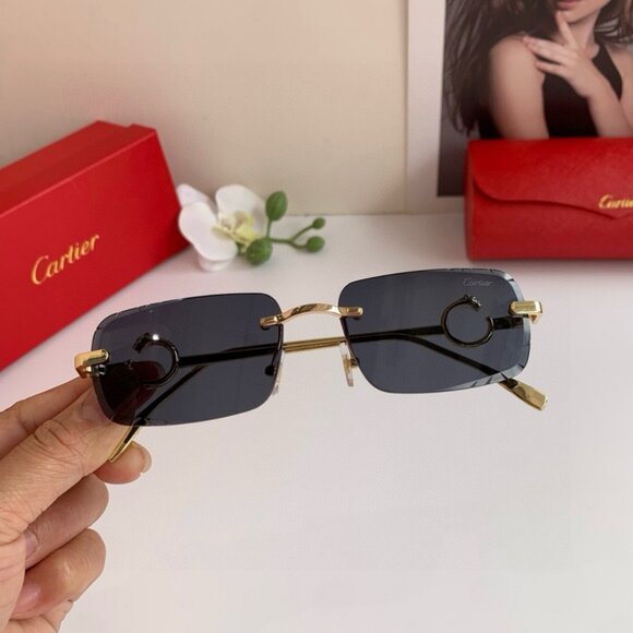 Cartier Black Frame Signature Shades main image 4